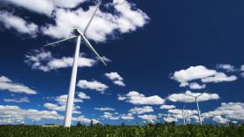taman-wind.jpg